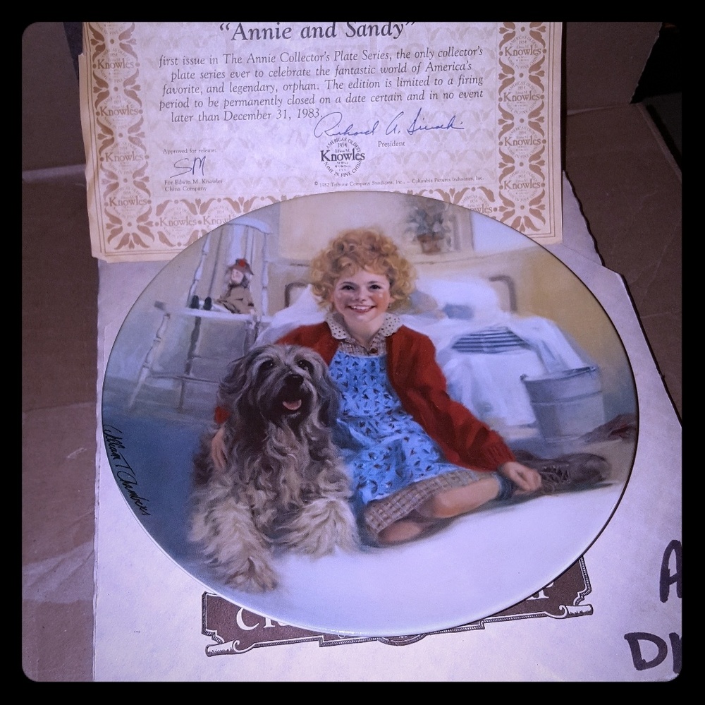 Vintage collectors plate